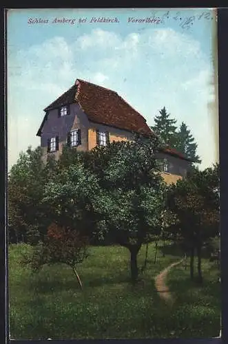 AK Feldkirch /Vorarlberg, Blick auf Schloss Amberg