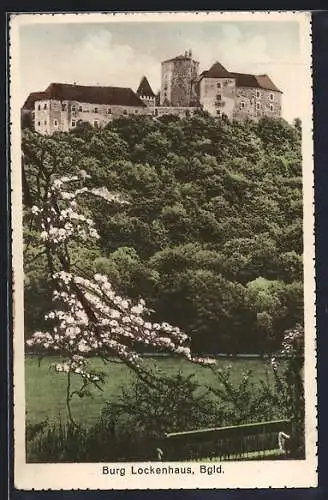 AK Lockenhaus im Burgenland, die Burg auf dem Berg