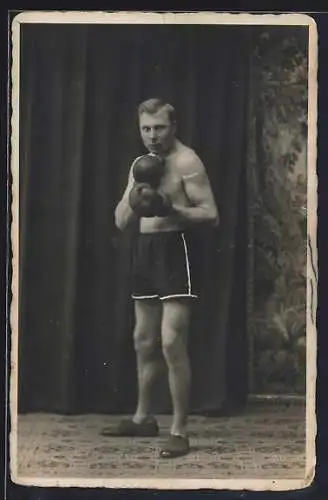 Foto-AK Boxer posiert in einem Fotostudio