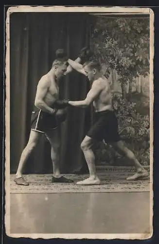 Foto-AK Boxer posieren in einem Fotostudio