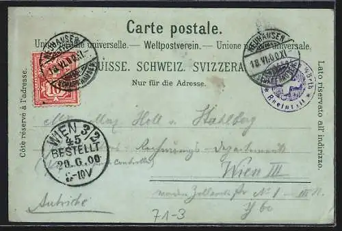 Mondschein-Lithographie Rheinfall, Ortsansicht vom Wasser aus, mit Bahnviadukt