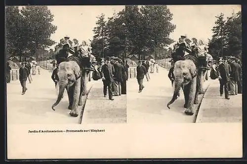 Stereo-AK Jardin d`Acclimatation, Promenade sur l`Eléphant