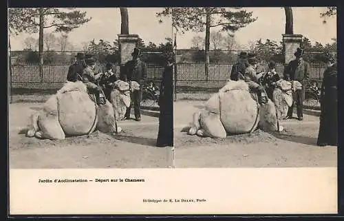 Stereo-AK Jardin d`Acclimatation, Depart sur le Chameaux