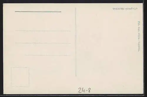 Foto-AK Messina, Via Cardines nach dem Erdbeben