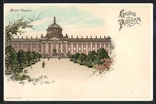 Lithographie Potsdam, Neues Palais