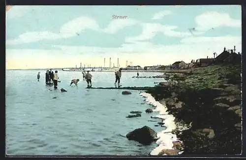 AK Struer, Panorama