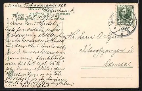 AK Roskilde, Palaeet