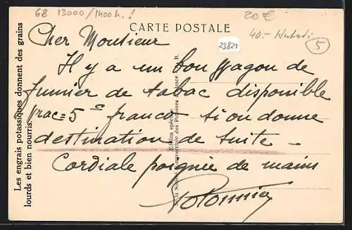 AK Wittenheim, Panorama