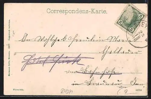 AK Linz a. D., Blick von der Bergwiese auf den Ort