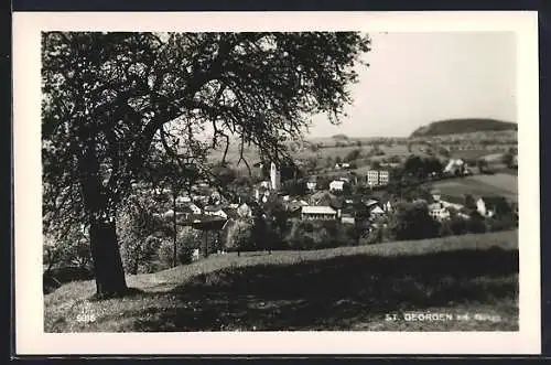 AK St. Georgen a. d. Gusen, Teilansicht mit Baum