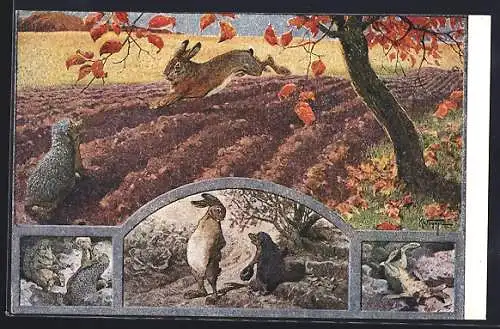 Künstler-AK K. Wagner: Märchen, Der Hase und der Igel beim Wettlauf