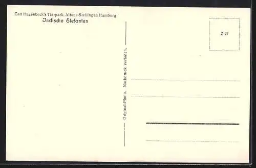 AK Hamburg-Altona-Stellingen, Carl Hagenbecks Tierpark, Indische Reit-Elefanten