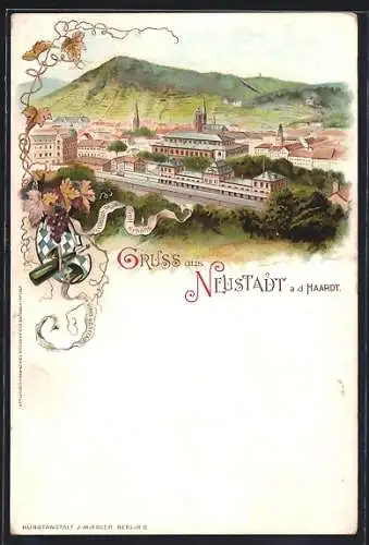 Lithographie Neustadt a. Haardt, Totalansicht aus der Vogelschau