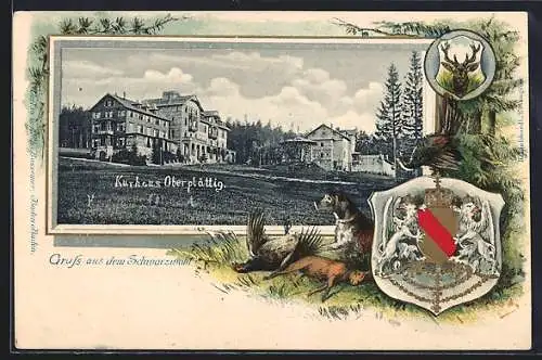 Passepartout-Lithographie Oberplättig, Kurhaus, Wappen