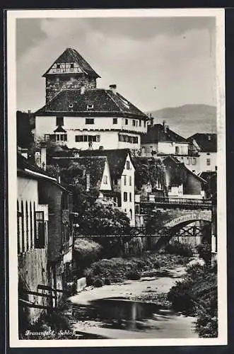 AK Frauenfeld, Blick auf das Schloss