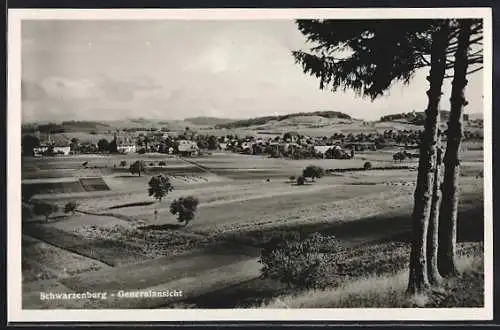 AK Schwarzenburg, Totalansicht übers Feld