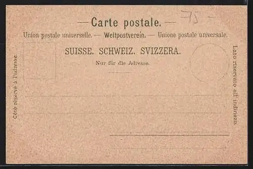 Lithographie Basel, Pfalz, Rathaus, Hof