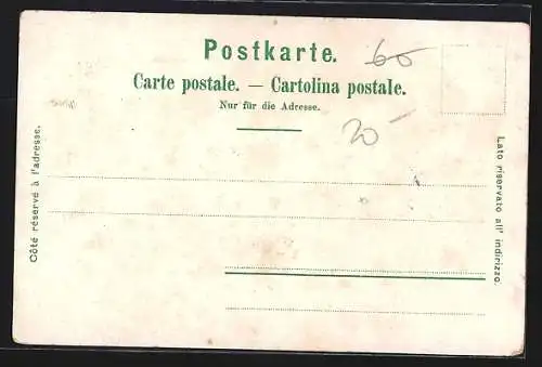 Lithographie Basel, Teilansicht, St. Jakobsdenkmal, Rathaus