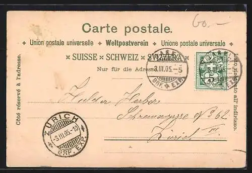 Lithographie Basel, St. Jacobs Denkmal, alte Rheinbrücke, Strassburger Denkmal