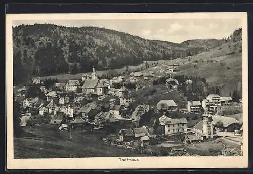 AK Todtmoos, Ortsansicht aus der Vogelschau