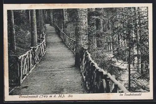 AK Freudenstadt, Partie im Teucheleswald