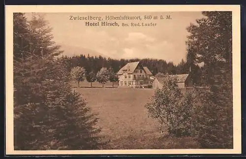 AK Zwieselberg / Freudenstadt, Hotel Hirsch