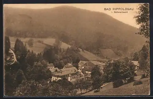 AK Bad Rippoldsau /Schwarzwald, Totalansicht aus der Vogelschau