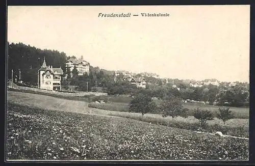 AK Freudenstadt, Die Villenkolonie