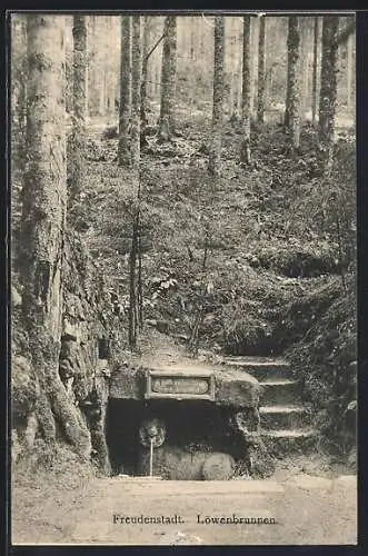 AK Freudenstadt, Am Löwenbrunnen