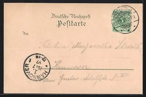 Lithographie Lautenthal i. Harz, Hotel und Pension Prinzess Caroline, Ortsansicht