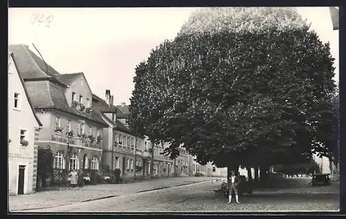 Foto-AK Volkach, Gasthaus zum Storch, Bes. Georg Amtmann