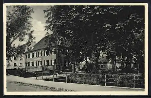 AK Freiburg-Günterstal, Gasthaus z. Hirschen v. A. Schillinger jr.