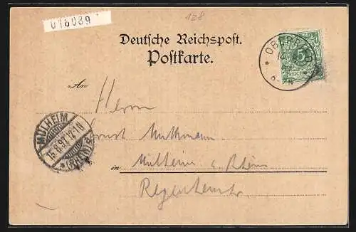 Lithographie Schauinsland, Rheintalpanorama, Gasthaus zur Friedrichshöhe