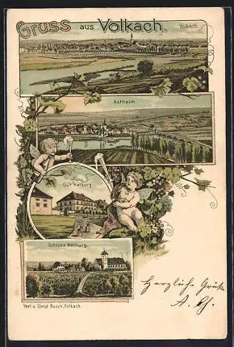 Lithographie Volkach, Schloss und Gut Halburg, Astheim, Totalansicht