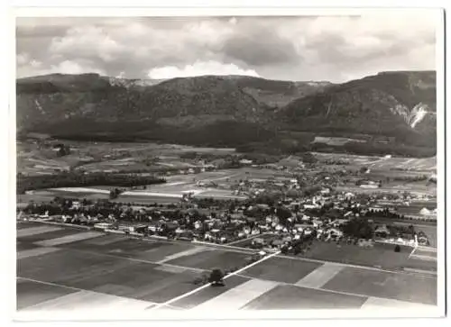 Fotografie Swissair Photo AG, Zürich, Ansicht Selzach bei Solothurn, Fliegeraufnahme, Panorama der Ortschaft