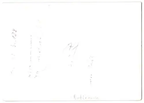Fotografie unbekannter Fotograf, Ansicht Entlebuch, Fliegeraufnahme mit Landschaftspanorama