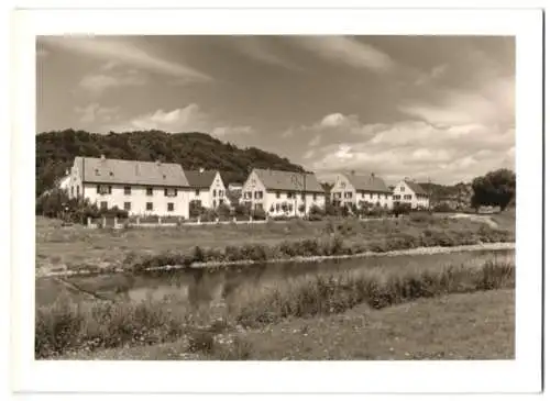 Fotografie Friedrich Gutermann, Lörrach, Ansicht Lörrach-Haagen / Baden, Uferpartie mit Wohnhäusern