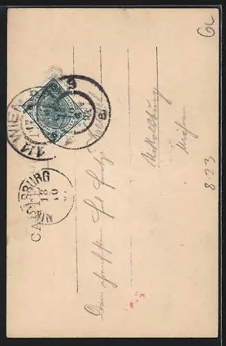 AK Dame pflückt Weintrauben