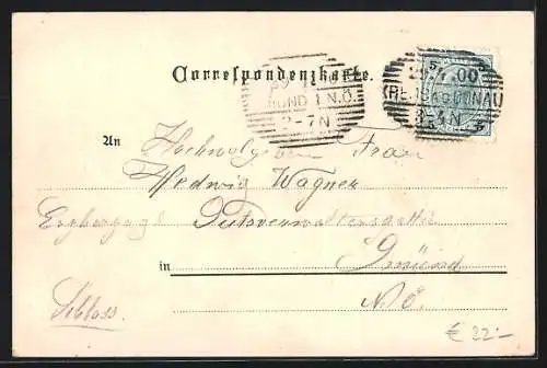 Lithographie Krems a. D., Steiner Thor, Wappen, Teilansicht mit Kirche