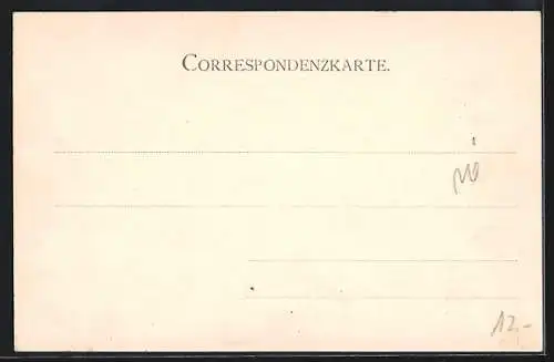 AK Heidenreichstein /N.-Oest., Ortsansicht aus der Vogelschau