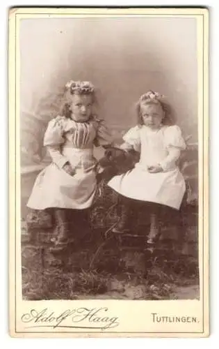 Fotografie Adolf Haag, Tuttlingen, zwei niedliche Mädchen mit ihrem Hund und Blumen im Haar