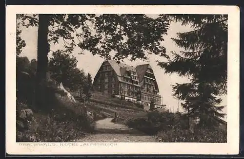 AK Braunwald, Das Hotel Alpenblick