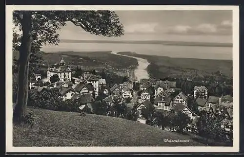 AK Walzenhausen, Totalansicht gegen den Bodensee