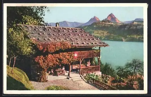 AK Rütli, Ansicht mit Bergen