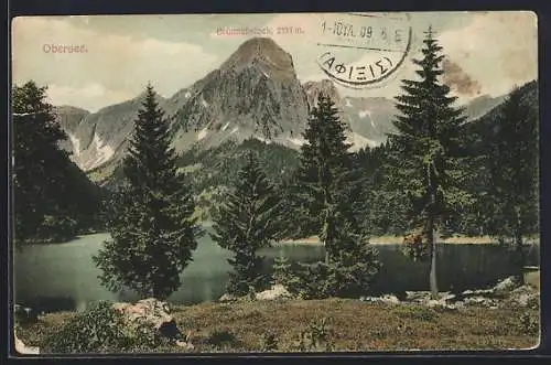 AK Obersee, Ortspartie mit Brünnelistock