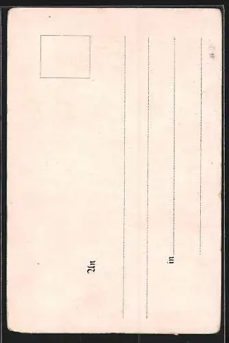 Lithographie Säntis, Totalansicht mit Berghaus und Gipfel