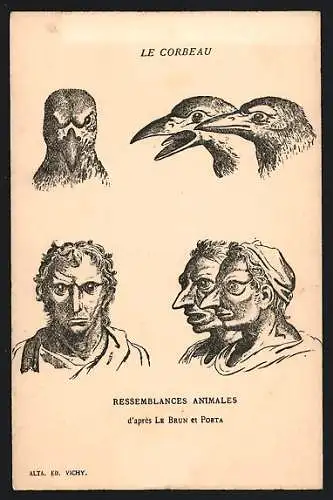 AK Le Corbeau, Ressemblances Animales