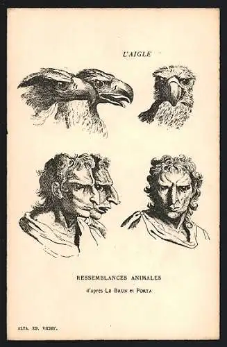 AK L`Aigle, Ressemblances Animales