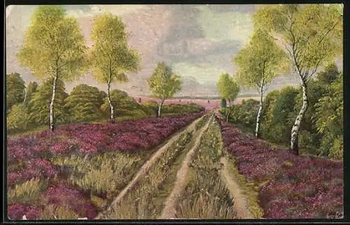 Ölgemälde-Imitations-AK Degi Nr. 1121: Strasse in der Heide