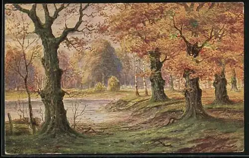 Künstler-AK Degi Nr. 1066: Herbstmorgen, Waldidyll
